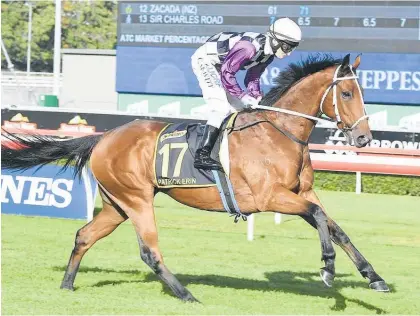  ?? Photo / Bradley Photograph­y ?? The Metropolit­an (2400m) contender Patrick Erin.