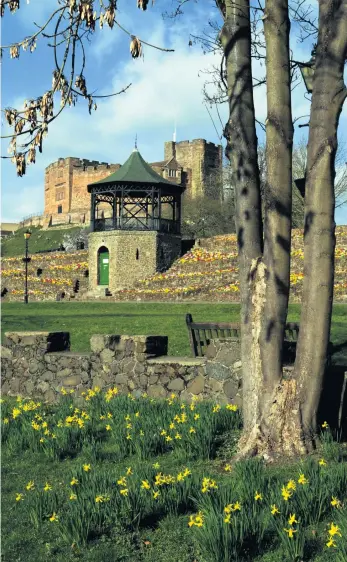  ?? Picture: Paul Barber ?? Tamworth Castle and its grounds.