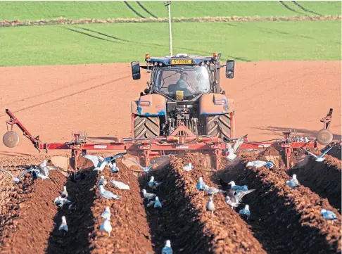  ?? ?? ‘MANDATE’: The group set out its ideas for a body to fill the void created by the rejection of the AHDB Potatoes levy.