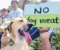  ?? AFP ?? Se busca erradicar el mercado de carne de perro en Asia.