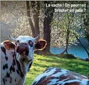  ??  ?? La vache ! On pourrait brouter en paix ?