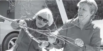  ?? [SEAN HEEGER] ?? Susan Bryant and Inga Rinne of Trees for Woolwich do some spring pruning.