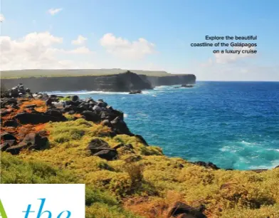  ??  ?? Explore the beautiful coastline of the Galápagos on a luxury cruise