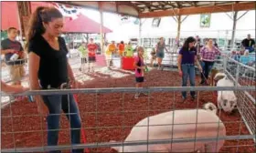  ?? LISA MITCHELL - DIGITAL FIRST MEDIA ?? Berks County 4-H Swine Club hosted the Celebrity Showmanshi­p competitio­n at the Kutztown Fair on Aug. 18. Berks County celebritie­s were (not in order) 2016 Reading Fair Queen Alternate Morgan Krick, Y102’s Andi Kurzweg, Jamie Klein of the Reading...