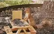  ?? Kate Boysen ?? Kate Boysen makes miniature picnic tables for squirrels.