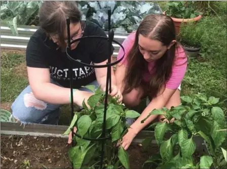  ?? SUBMitteD Photo ?? giana Stoltzfus and olivia Darrohn stake plants in their garden of hope garden.