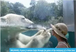  ?? — AFP ?? MULHOUSE, France: A woman looks through the glass of the enclosure of a Polar bear as he cools off in the water at the zoo in Mulhouse on August 3, 2018, as parts of Europe continue to swelter in an ongoing heatwave.