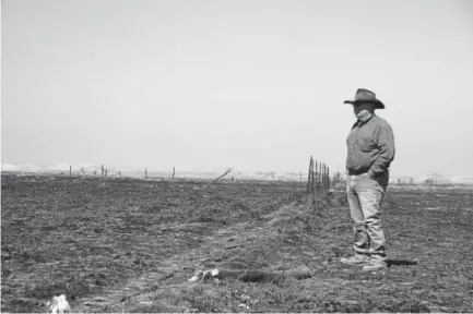  ?? Michael Pearce, Wichita Eagle ?? Greg Gardiner overlooks his fire-ravaged ranch on March 7 following devastatin­g wildfires in Clark County, Kan. The amount of moisture received across the southern high plains has raised fears of drought and fire danger.