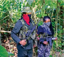  ?? FOTO ARCHIVO DONALDO ZULUAGA ?? Según analistas, el Eln tiene cerca del 70% de sus fuerzas sobre y tras la frontera con Venezuela.