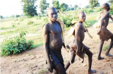  ??  ?? Some of the boys on their way to a farm at Ribah area of Zuru