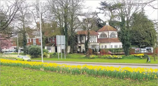  ??  ?? LEFT: The eye-catching display of daffodils at Spearpoint, with the Conningbro­ok Hotel in the background