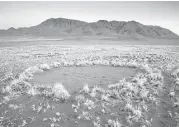  ?? Jen Guyton, www.jenguyton.com, via Associated Press ?? Scientists have come up with a complex theory involving termites and plants to explain what’s happening in Namibia’s fairy circles.