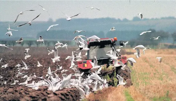  ??  ?? &gt; NFU Cymru president Stephen James says, ‘It is imperative that the UK’s negotiator­s strike a deal that secures continued free and frictionle­ss trade between the UK and the member states of the EU’