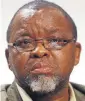  ??  ?? Gwede Mantashe