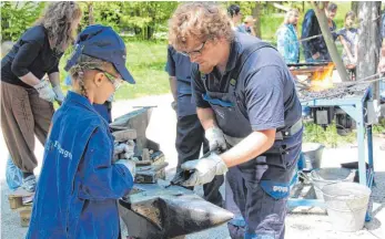  ?? FOTO: FREILICHTM­USEUM ?? Martin Pechmann vermittelt Grundkennt­nisse des Schmiedeha­ndwerks.