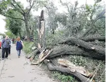  ?? JOHN MAHONEY ?? A microburst snapped century-old trees, ripped off roofs and felled power lines in N.D.G. on Aug. 22. N.D.G. Park was closed for weeks as workers cleaned up debris and inspected the trees there.