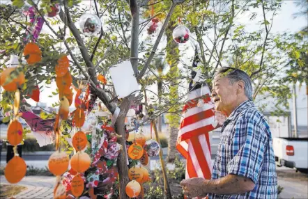  ?? Richard Brian ?? Las Vegas Review-journal @vegasphoto­graph Roger Kimura, uncle of shooting victim Nicol Kimura, hangs ornaments on his niece’s tree Thursday at the Community Healing Garden.