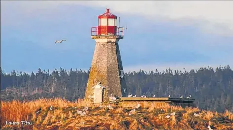  ?? SAIL2 SAVE AN ISLAND LIGHTHOUSE PHOTO ?? What the Peter’s Island lighthouse looks like now.