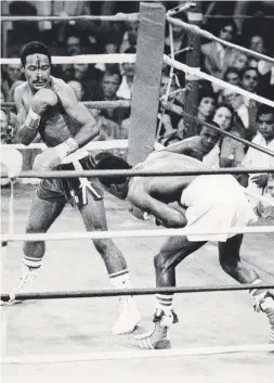  ??  ?? A la izquierda, Wilfred Benítez entrena de cara a su pelea con Sugar Ray Leonard. Arriba, “El Radar” arrincona a Leonard durante la reyerta celebrada en 1979 en Las Vegas.