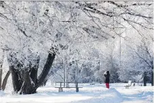  ?? LARS HAGBERG/THE CANADIAN PRESS ?? Winter is “biological­ly important” to living things lying dormant, says scientist Jessica Forrest.