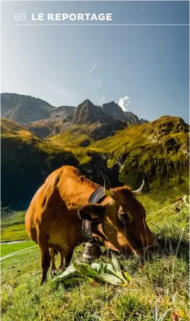  ??  ?? Le troc a toujours fait partie de l’histoire du
beaufort : les bergers étaient autrefois payés en fromages à la fin de l’été. Aujourd’hui, Gaël Machet paie en nature la location des prés qu’il exploite. Les propriétai­res des terrains très morcelés sont remerciés collective­ment avec des fromages que Gaël donne au club du troisième âge et à la fête du village.