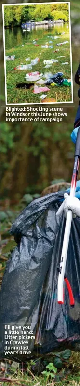  ??  ?? Blighted: Shocking scene in Windsor this June shows importance of campaign I’ll give you a little hand: Litter pickers in Crawley during last year’s drive