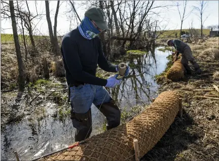  ?? BEN HASTY — MEDIANEWS GROUP ?? Trout Unlimited member Jim Coffey secures a coir log along Valley Run Creek in Washington Township. The log, made of coconut husks, provides a base into which native plants and trees are planted, prevents erosion and anchors a new riparian buffer at Frontier Pastures. The Berks County Conservati­on District and Trout Unlimited installed coir logs and live stakes along the Valley Run stream in the Perkiomen watershed.