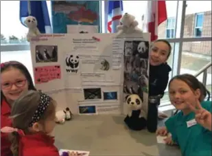  ?? Photo : Caroline Gobeil ?? Cette équipe de 3e année a répondu à la question « Pourquoi est-ce que les animaux disparaiss­ent ? ».