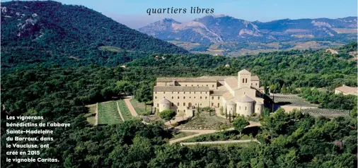  ??  ?? Les vignerons bénédictin­s de l’abbaye Sainte-Madeleine du Barroux, dans le Vaucluse, ont créé en 2015 le vignoble Caritas.