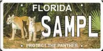  ?? FLORIDA FISH & WILDLIFE CONSERVATI­ON COMMISSION ?? A new design for Florida’s “Protect the Panther “specialty license plate is now available. It’s the third design for the plate since its inception in 1991.