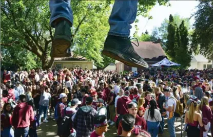  ?? SCOTT GARDNER, THE HAMILTON SPECTATOR ?? A student’s feet dangle after he climbed a tree for a better vantage point of the party on Dalewood Avenue celebratin­g McMaster’s Homecoming.