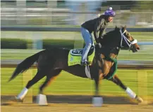  ??  ?? Kentucky Derby hopeful Bravazo trains April 30 at Churchill Downs. The oddsmakers give Bravazo 50-1 odds.