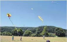  ?? SZ-FOTOS (2): ELISABETH SOMMER ?? Ein gelungenes Drachenfes­t stellte sich in Schmiechen mit der vierten Auflage ein.