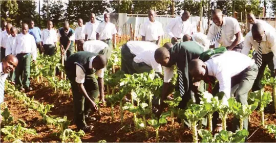  ?? ?? Students working on school farm