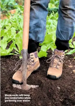  ??  ?? Warm socks will keep you comfortabl­e when gardening over winter