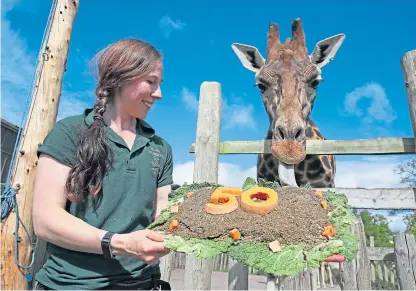  ?? Pictures: PA. ?? Keeper Lynn Wyllie holds a giraffe-friendly birthday cake at Blair Drummond Safari Park. Below: a spot of scrapbook nostalgia and two residents have a closer look at the 50 sign.