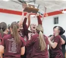  ?? KYLE ROBERTSON/COLUMBUS DISPATCH ?? Newark players hoist the regional championsh­ip trophy last Friday after edging Dublin Coffman.