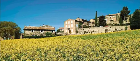  ?? FOTO: HELGE SOBIK ?? Raps statt Lavendel: Sobald der Frühling Einzug hält, erstrahlt die Hügellands­chaft Luberon in der Provence in einem intensiven Gelb.