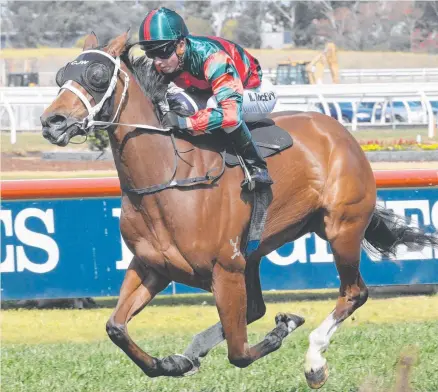  ?? BIG CHANCE: Epsom chance Egg Tart, ridden by Kerrin McEvoy in an exhibition gallop. ??