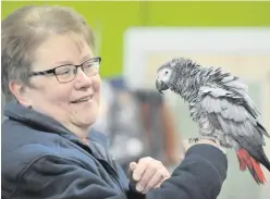  ??  ?? Marion McAuley has been reunited with her African Grey parrot Barney