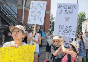  ?? LYNN CURWIN/TRURO NEWS ?? Protesters walked from Central Nova Animal Hospital, on Main Street, to the county municipal building on Tuesday, voicing their opposition to a proposed dog kennel law.