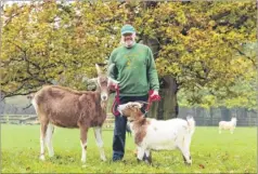  ?? Picture: Martin Apps FM3523291 ?? Sanctuary founder Bob Hitch with Lucky the goat and Diesel the pygmy goat