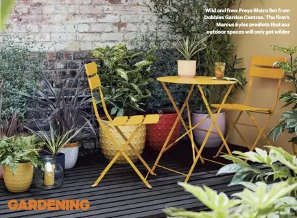  ??  ?? Wild and free: Freya Bistro Set from Dobbies Garden Centres. The firm’s
Marcus Eyles predicts that our outdoor spaces will only get wilder