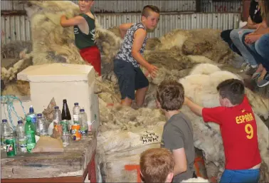  ?? Playing in the wook were some of the youngest helpers at the ‘Top of Coom’ shearing on Sunday. ??