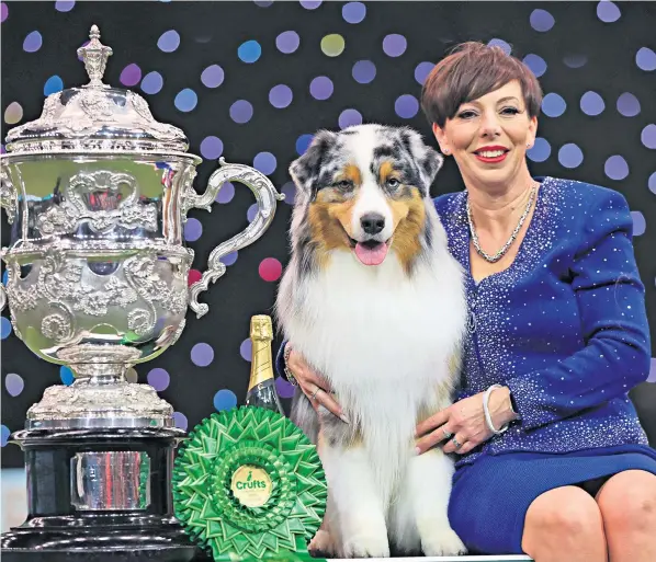  ?? ?? A three-year-old Australian shepherd from Birmingham called Viking, pictured with its handler Melanie Raymond, won the title of best in show at Crufts, beating out a French bulldog named Elton