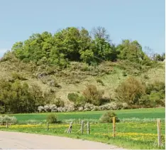  ??  ?? Der Standort der Hohenburg unweit von Fronhofen und Thalheim im oberen Kessel tal. Die Burg bildete das frühe Herrschaft­szentrum für das Kesseltal.