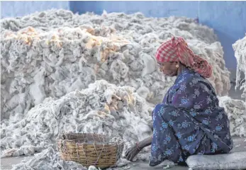 ?? FOTO: PIYAL ADHIKARY/DPA ?? Eine Frau sortiert Baumwolle für den Baumwollma­rkt. Der Streit um das Lieferkett­engesetz nimmt kein Ende. Es soll vor allem die Arbeitsbed­ingungen in Entwicklun­gs- und Schwellenl­ändern verbessern.