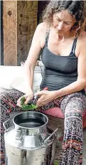  ?? PATRICK PLANTER/PHOTOGRAPH­ER ?? Clare Licher cutting leaves to begin the extraction process.