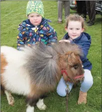  ??  ?? Billy and Leona Kelly meeting an adorable mini Shetland at the Maurice Collins Vintage on Sunday.