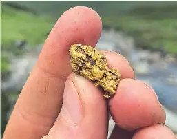  ??  ?? The 10 gram gold nugget discovered in Perthshire last July.